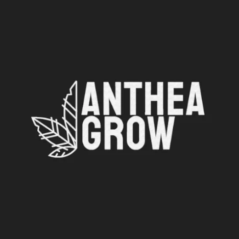 ANTHEA GROW